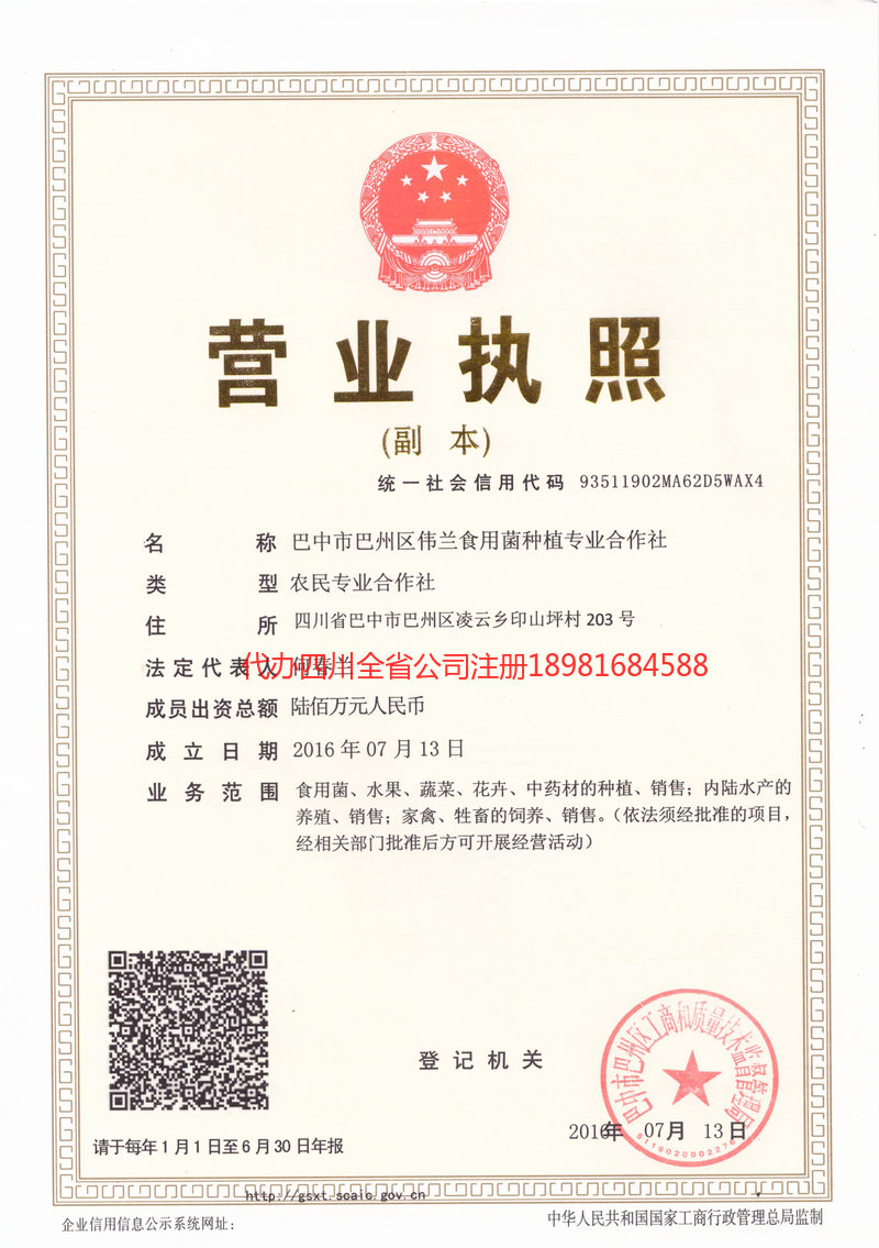 齐齐哈尔齐齐哈尔伟兰食用菌种植专业合作社