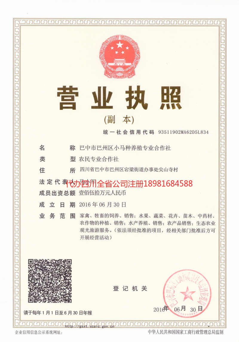 齐齐哈尔齐齐哈尔小马种养殖专业合作社